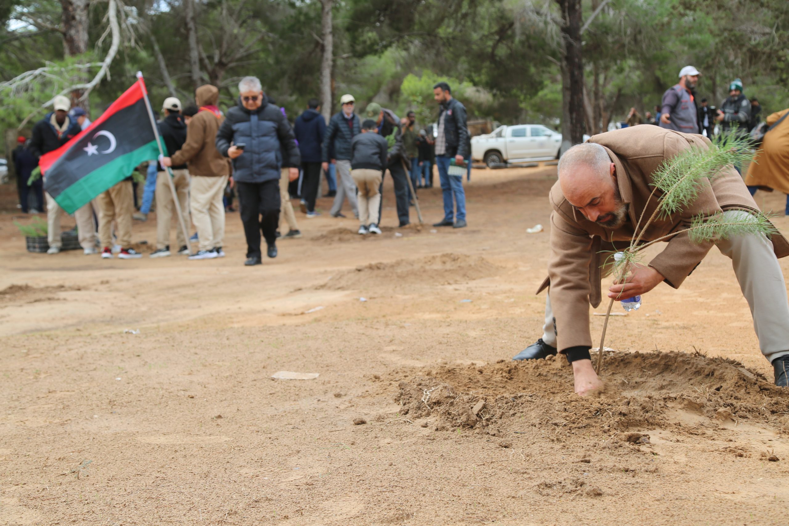 المنظمة الليبية للبيئة تطلق حملة تشجير بمحمية تاجوراء بمشاركة معهد التخطيط.